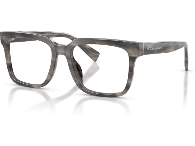 Dolce & Gabbana DG3422 3199 Grey