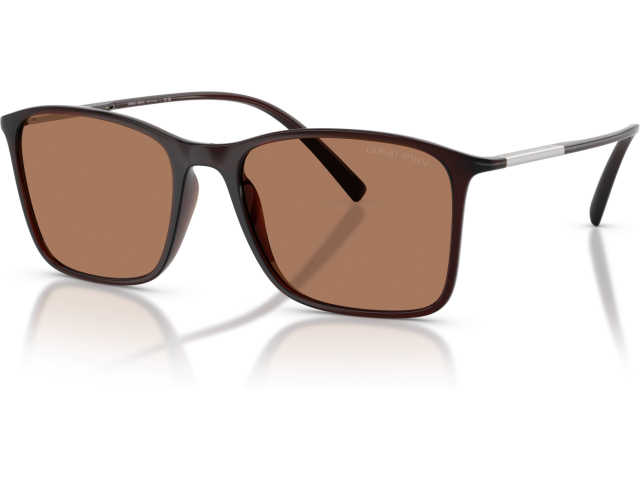 Giorgio Armani AR8231U 623973 Brown