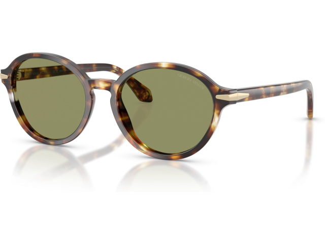 Giorgio Armani AR8237 623214 Tortoise