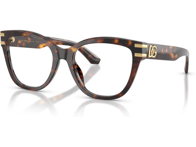 Dolce & Gabbana DG3418 502 Tortoise