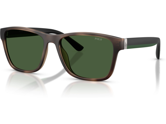 Polo PH4229U 607071 Tortoise