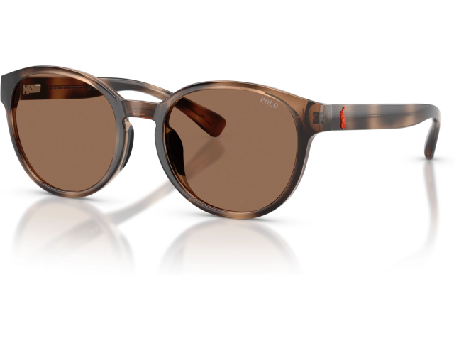 Polo PP9509U 597473 Tortoise