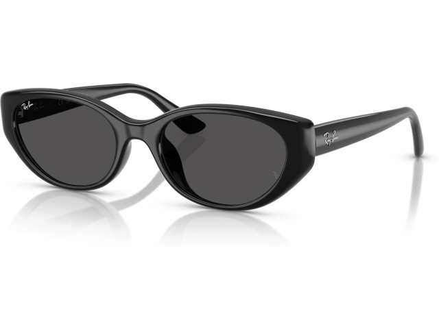 Ray-Ban RB4457D 667787 Black