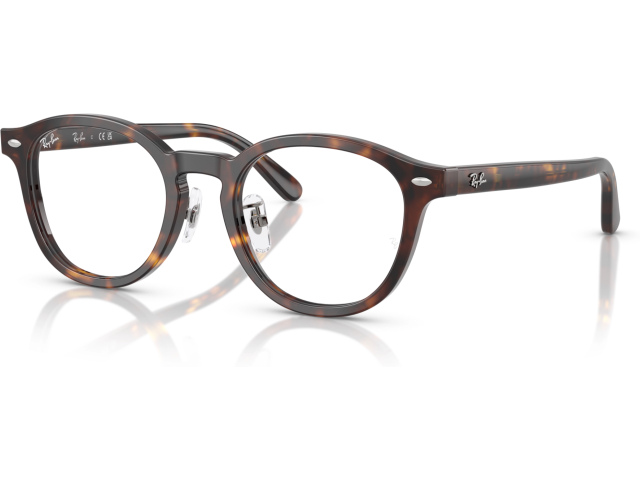 Ray-Ban RX5443D 2012 Tortoise