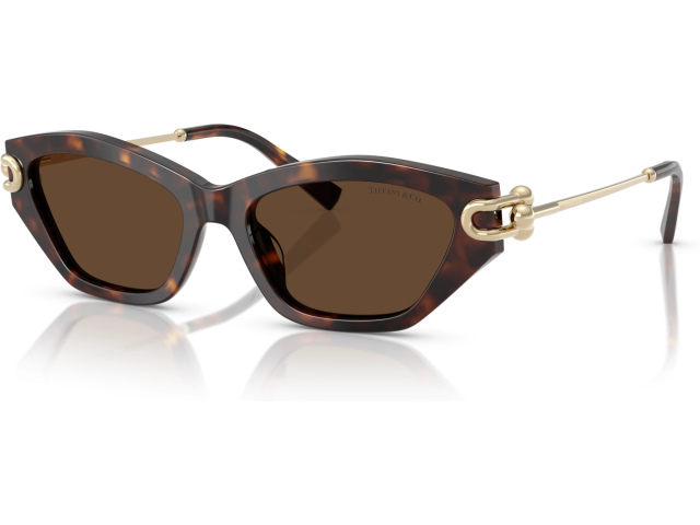 Tiffany TF4231U 80153G Tortoise