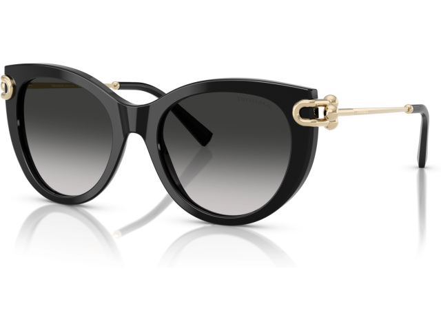 Tiffany TF4232 80013C Black