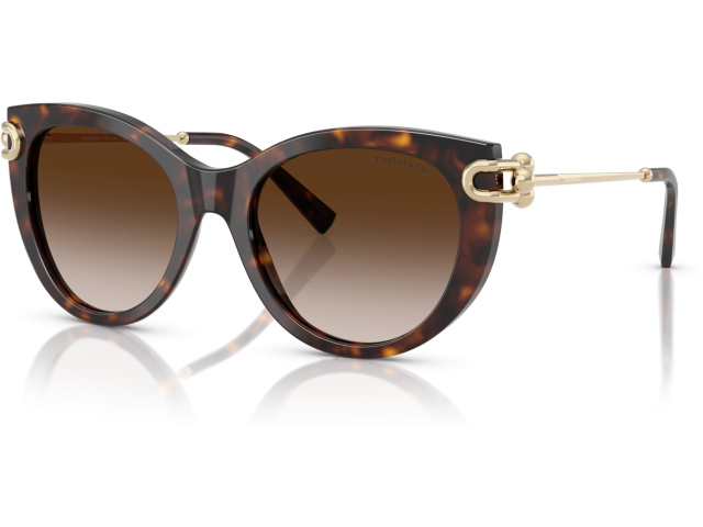 Tiffany TF4232 80153B Tortoise