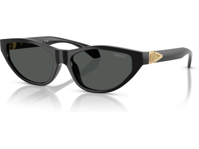 Versace VE4491U GB1/87 Black