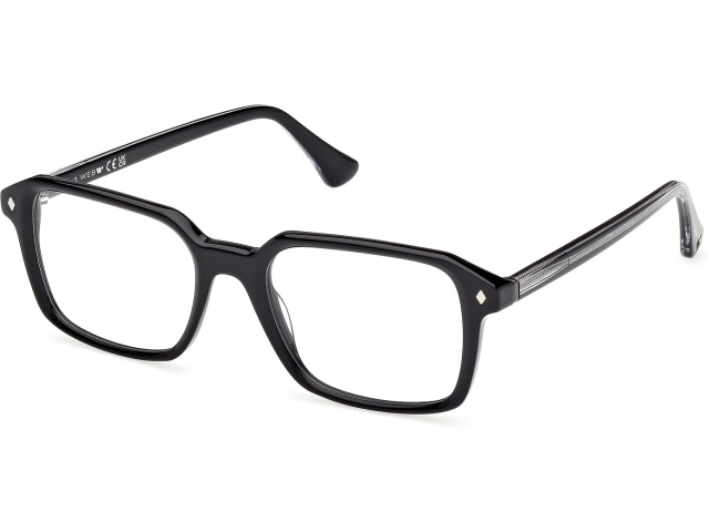 Web Eyewear WE 5463 005 53